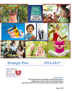 Thumbnail of 2014 to 2017 Strategic Plan document